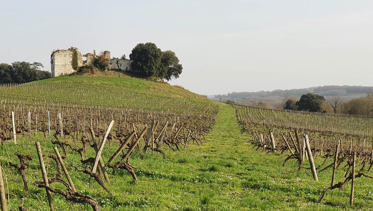 À la conquête des châteaux gascons